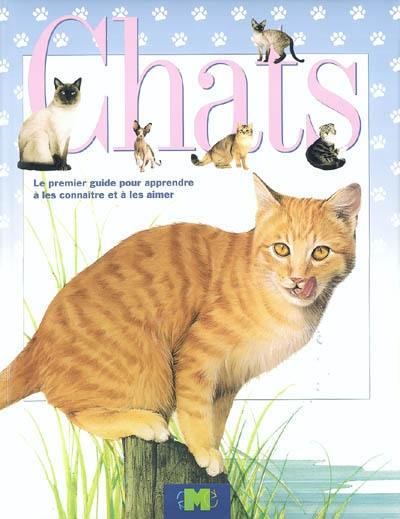 Chats : le premier guide pour apprendre à les connaître et à les aimer