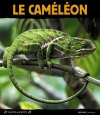 Le caméléon