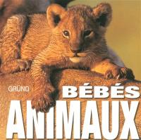 Les bébés animaux