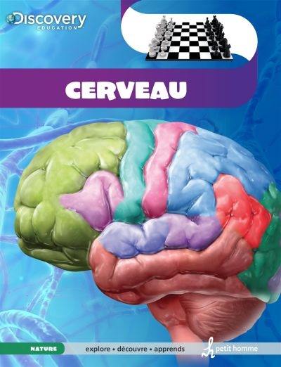 Cerveau