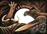 La savane : une nuit...