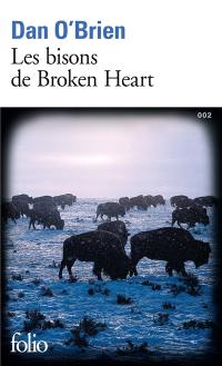 Les bisons de Broken Heart