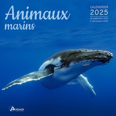 Animaux marins : calendrier 2025 : de septembre 2024 à décembre 2025