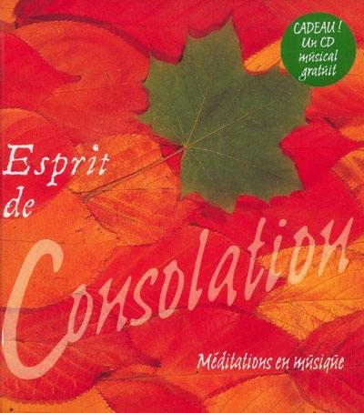 Esprit de consolation