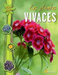 Les plantes vivaces