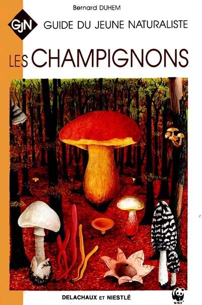 Les champignons