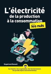 L'électricité, de la production à la consommation, pour les nuls