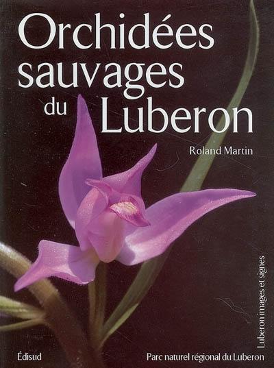 Orchidées sauvages du Luberon