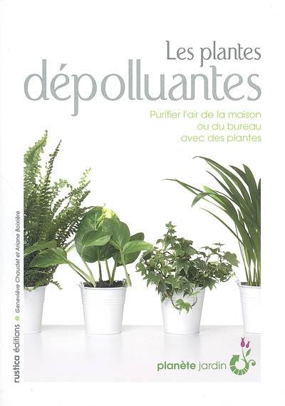 Les plantes dépolluantes : purifier l'air de la maison ou du bureau avec des plantes