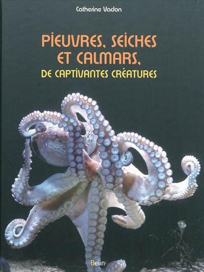 Pieuvres, seiches et calmars, de captivantes créatures