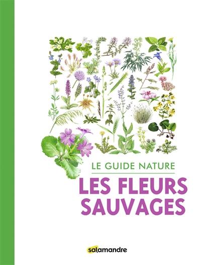 Les fleurs sauvages : le guide nature