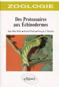 Des protozoaires aux échinodermes