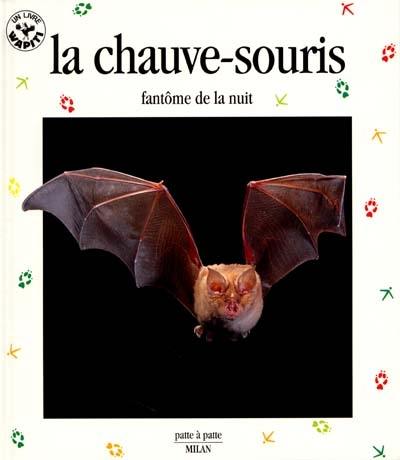 La chauve-souris : fantôme de la nuit