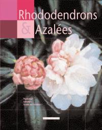 Rhododendrons et azalées