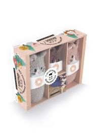 Mes chatons-chaussettes : coffret