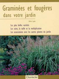 Graminées et fougères dans votre jardin : les plus belles variétés, les soins, la taille et la multiplication, les associations avec les autres plantes du jardin