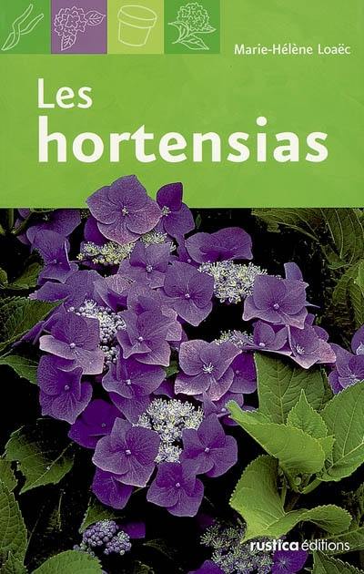 Les hortensias