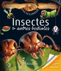 Insectes et autres bestioles