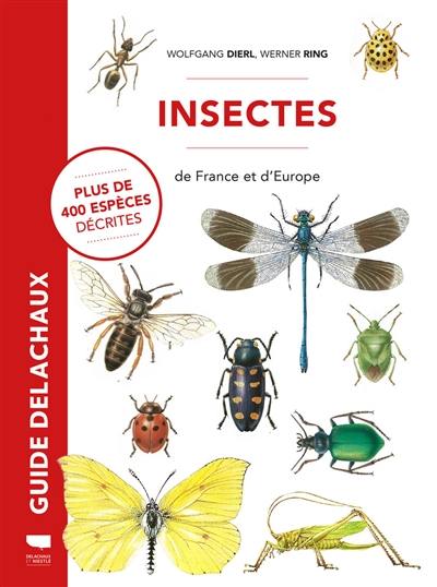 Insectes de France et d'Europe