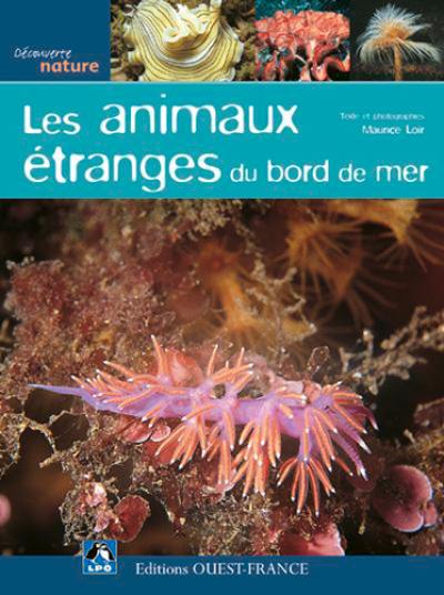 Les animaux étranges du bord de mer