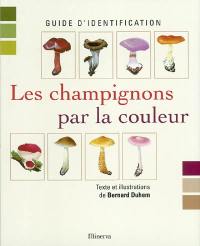 Les champignons par la couleur : guide d'identification