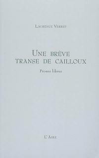 Une brève transe de cailloux : proses libres