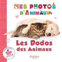 Les dodos des animaux