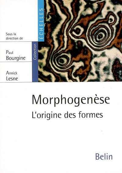 Morphogenèse : l'origine des formes