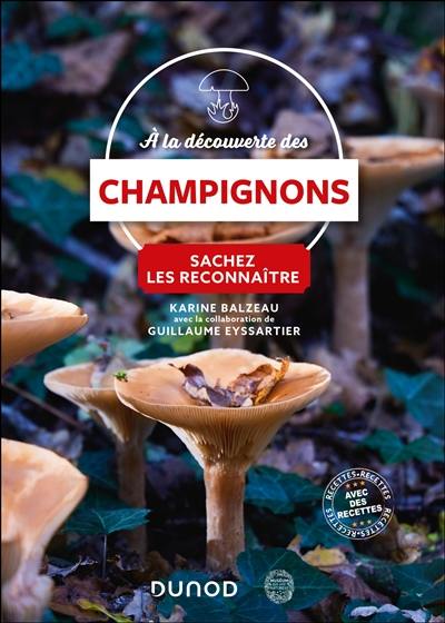 A la découverte des champignons : sachez les reconnaître