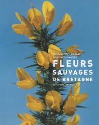 Fleurs sauvages de Bretagne