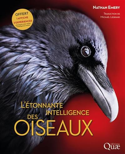 L'étonnante intelligence des oiseaux