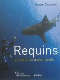 Requins : au-delà du malentendu