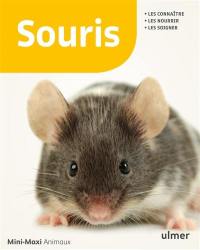 Souris : les connaître, les nourrir, les soigner