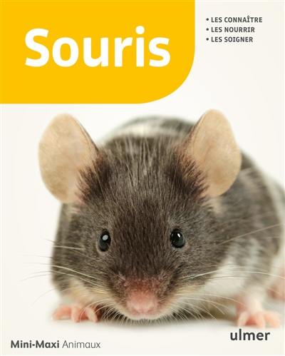 Souris : les connaître, les nourrir, les soigner