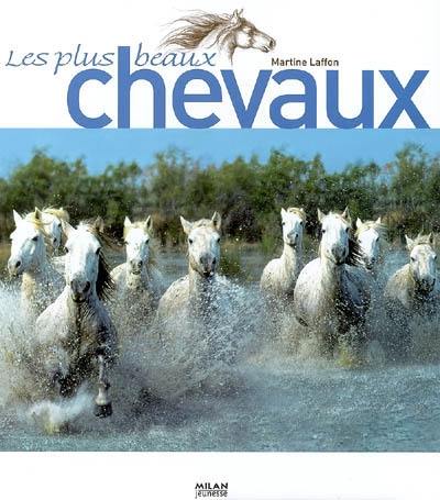 Les plus beaux chevaux