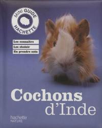 Cochons d'Inde : les connaître, les choisir, en prendre soin