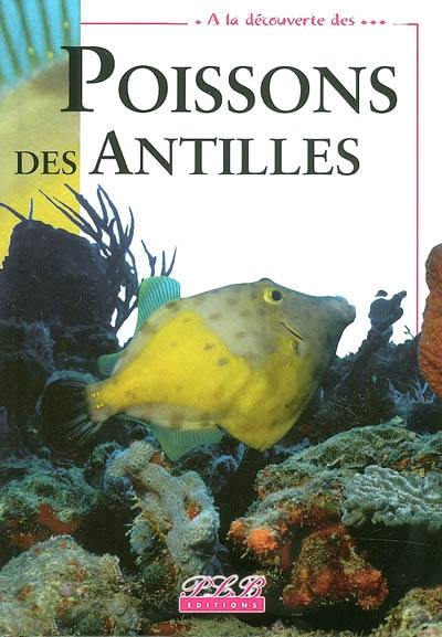 Poissons des Antilles