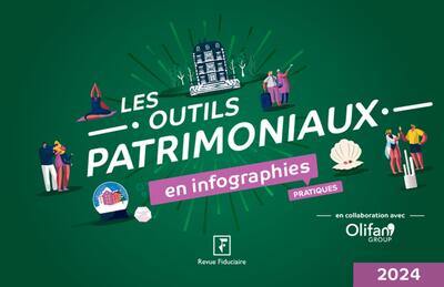 Les outils patrimoniaux en infographies pratiques : 2024