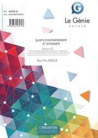 Bac pro AGOrA : sujets d'entraînements et d'examen : épreuve E2, études de situations professionnelles liées à l'organisation et au suivi de l'activité de production (de biens ou de services)