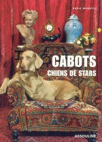 Chiens de stars