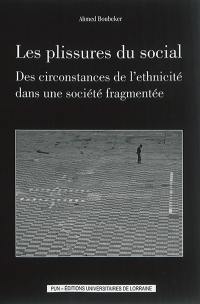 Les plissures du social : des circonstances de l'ethnicité dans une société fragmentée