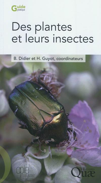 Des plantes et leurs insectes