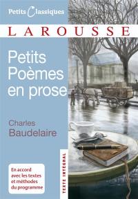 Petits poèmes en prose : le spleen de Paris