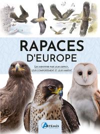 Rapaces d'Europe : les identifier par leur aspect, leur comportement et leur habitat