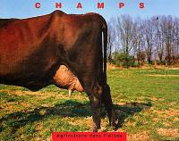 Champs, agriculture dans l'Aisne