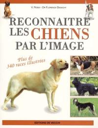 Reconnaître les chiens par l'image