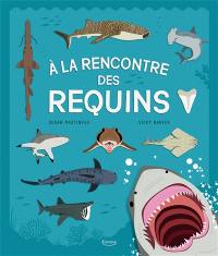 A la rencontre des requins