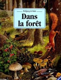 Dans la forêt