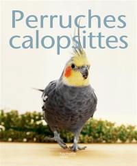 Perruches calopsittes