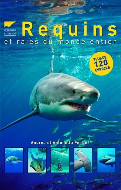 Requins et raies du monde entier : plus de 120 espèces